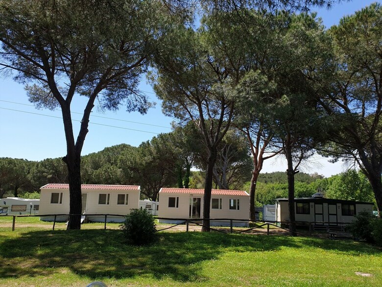 Aurelia Club