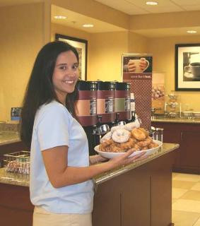 Hotel Hampton Inn Elkins