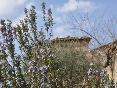 Apartamentos Locazione Turistica La Ginestra