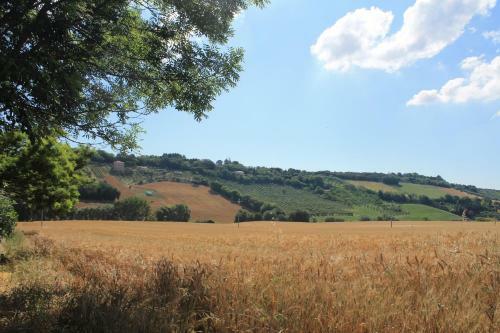 B&B Il Cavallino