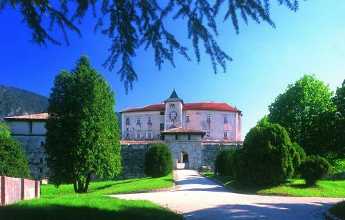 Pineta Natural Chalet