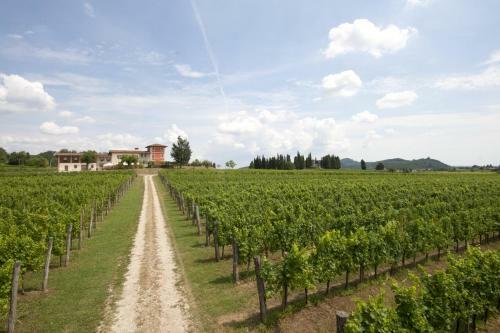 Bed & Breakfast Alloggio Agrituristico Corte San Biagio