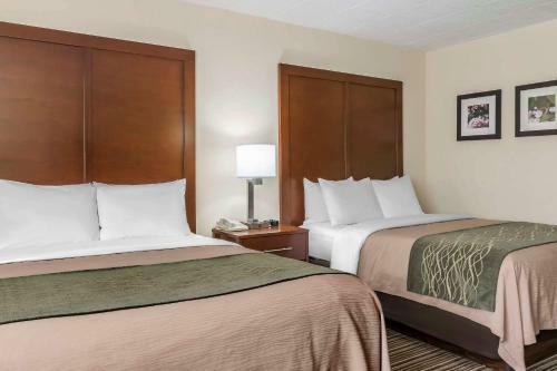 Hotel Comfort Inn - Pocono Mountain