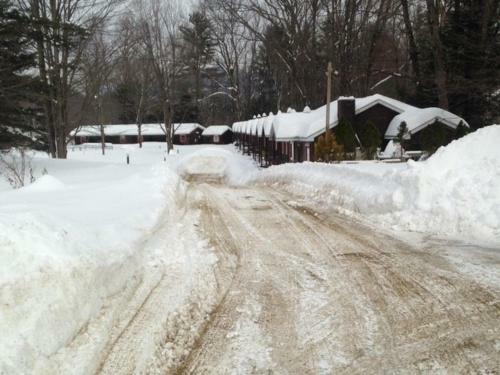 Maple Lodge Cabins