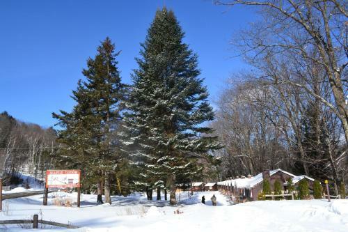Maple Lodge Cabins