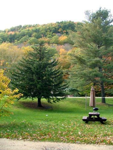 Maple Lodge Cabins