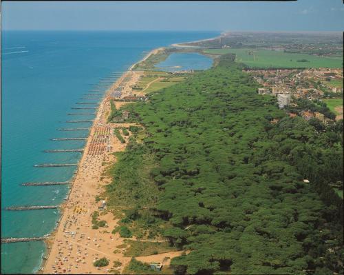 Apartments In Eraclea Mare 25611
