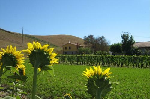 Fattoria Spedaletto Villa Sleeps 8 Pool Wifi