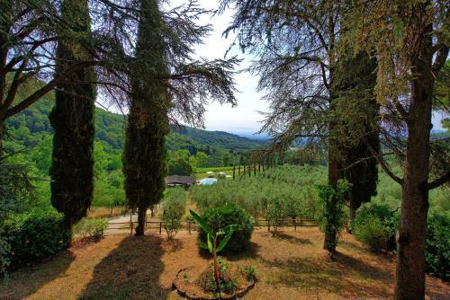 Figline Valdarno Apartment Sleeps 4 T241289