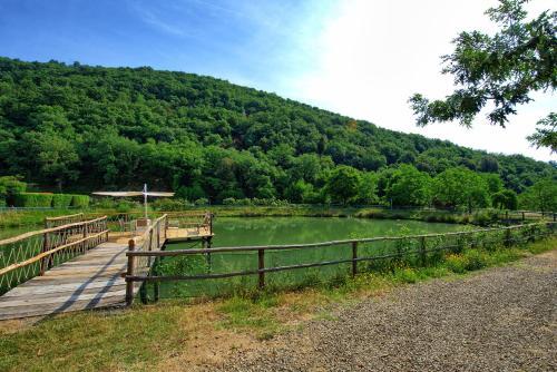 Figline Valdarno Apartment Sleeps 2
