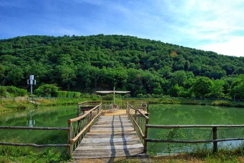Figline Valdarno Apartment Sleeps 6 T241296