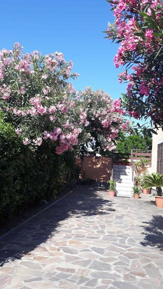 B&B Fiumicino Airport Resort