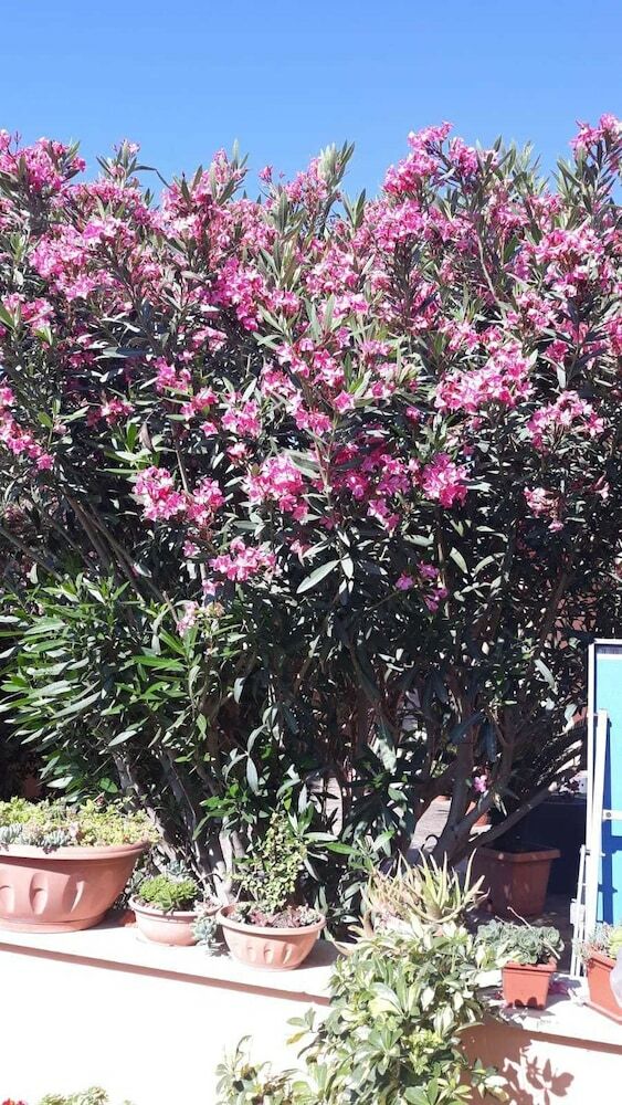 B&B Fiumicino Airport Resort