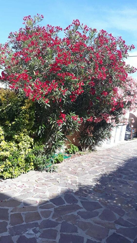 B&B Fiumicino Airport Resort
