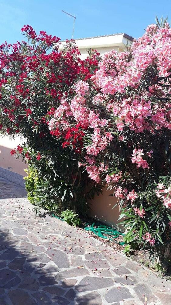 B&B Fiumicino Airport Resort