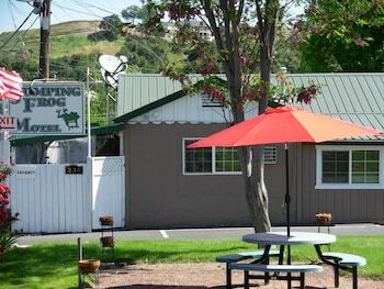 Jumping Frog Motel