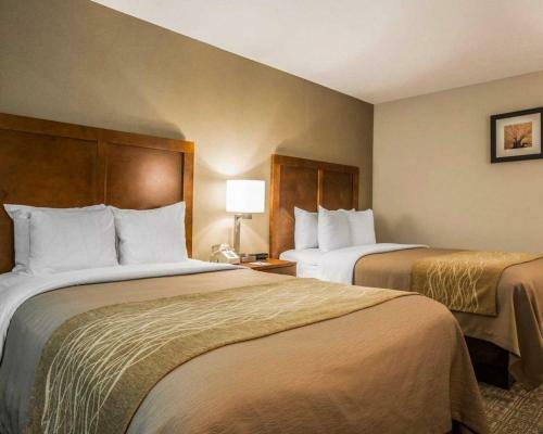 Hotel Comfort Inn & Suites At Maplewood