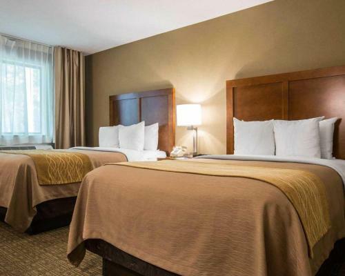Hotel Comfort Inn & Suites At Maplewood