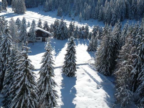 Rifugio Di Pace