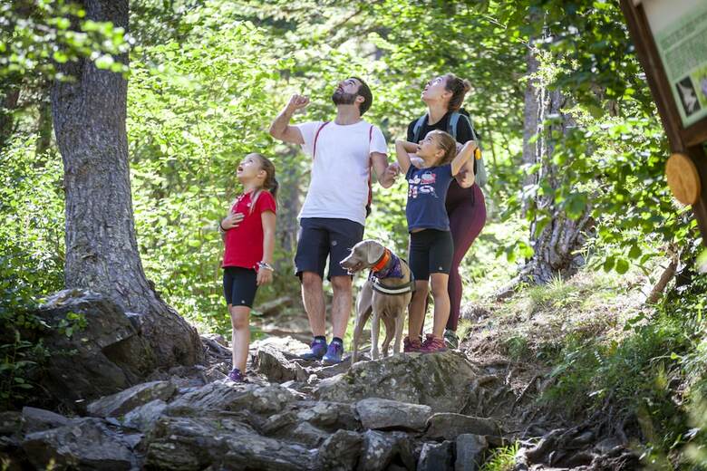 Hotel Spa Princesa Parc