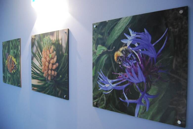 Apartamento Del Meligar