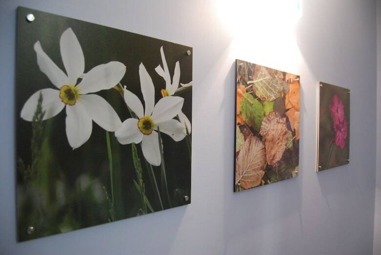 Apartamento Del Meligar