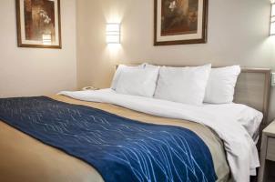 Hotel Comfort Inn Moriarty