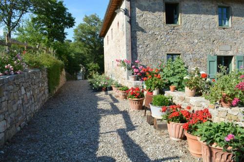 B&B Podere Il Colto