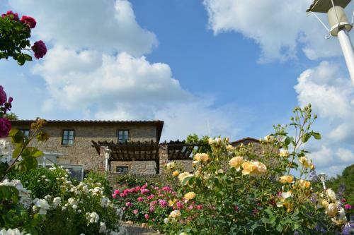 B&B Podere Il Colto