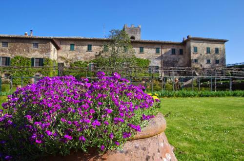 Badia Coltibuono Apartment Sleeps 5 Pool