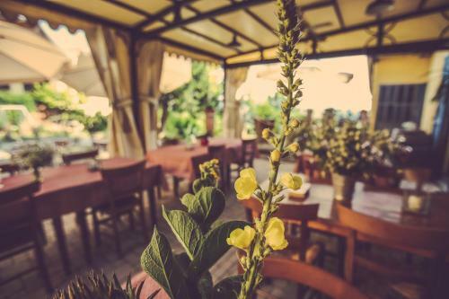 Agroturismo Agriturismo I Sur� Asti