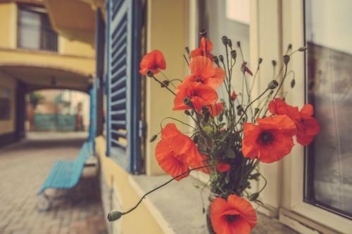Agroturismo Agriturismo I Sur� Asti
