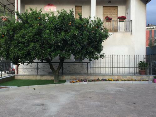 Bed & Breakfast Gli Agrumi