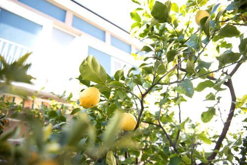 Apartamento Appartamento Smeraldo B1 - Myho Casa