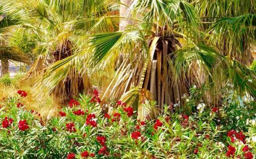 Villa Mosa - A Murcia Holiday Rentals Property