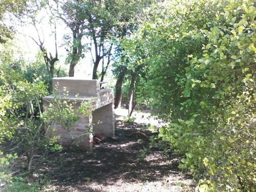 Lodge Caba�as Las Cuevas