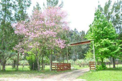Posada La Aurora Del Palmar