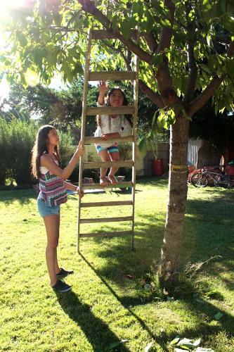 Meraki Sur