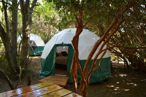 Lodge Domos El Aura - Parque Nacional Los Alerces