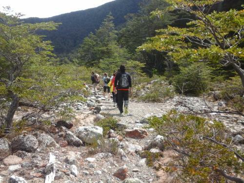 Lodge Domos El Aura - Parque Nacional Los Alerces