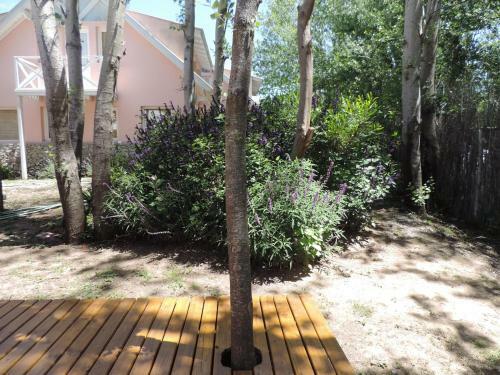 Lodge Puerto De Lilas