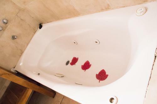 Apartamento Caba�as Sottobosco