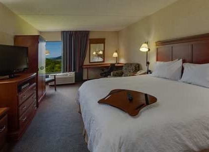 Hotel Hampton Inn Hazleton
