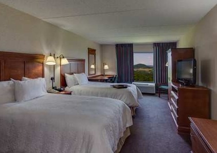 Hotel Hampton Inn Hazleton