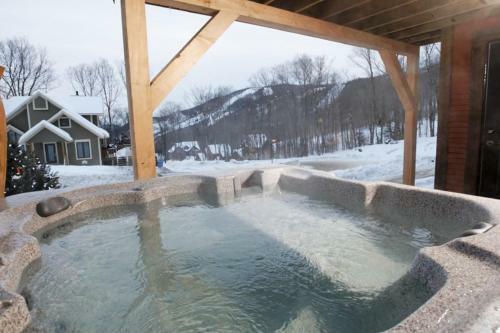 Chalets Alpins - 10 Chemin Blanc