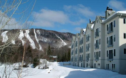 Apartamento Chalet - 620 Chemin Du Hibou -312
