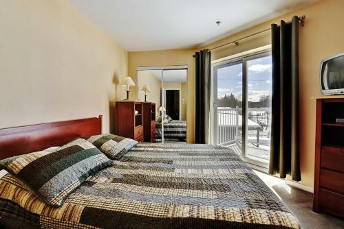 Apartamento Chalet - 620 Chemin Du Hibou #223