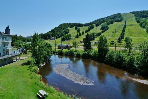 Apartamento Chalet - 620 Chemin Du Hibou #223