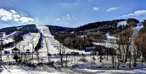 Apartamento Chalet - 620 Chemin Du Hibou #223