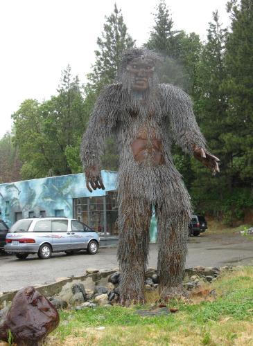 Forest Lodge Motel